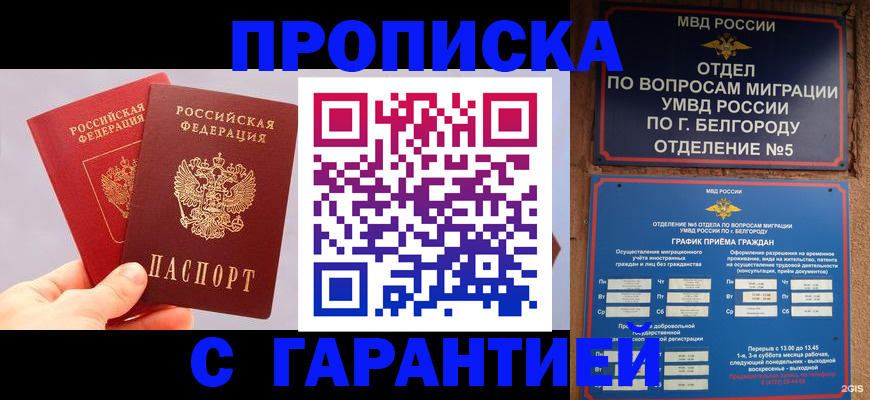 прописка 2025 в Ногинске