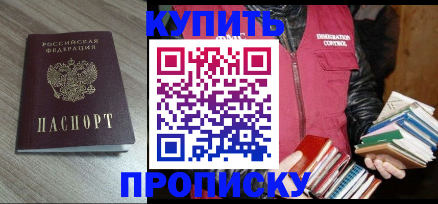 прописка 2025 в Ногинске